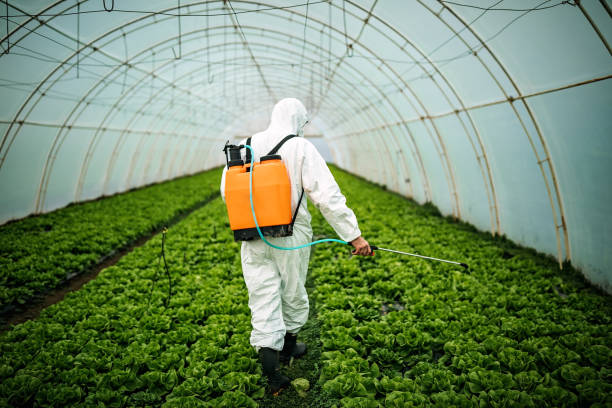 Best Affordable Pest Control Services  in Greenport West, NY