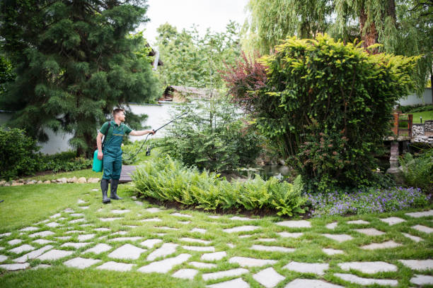 Professional Pest Control in Greenport West, NY
